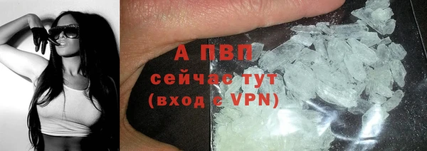 стаф Инсар