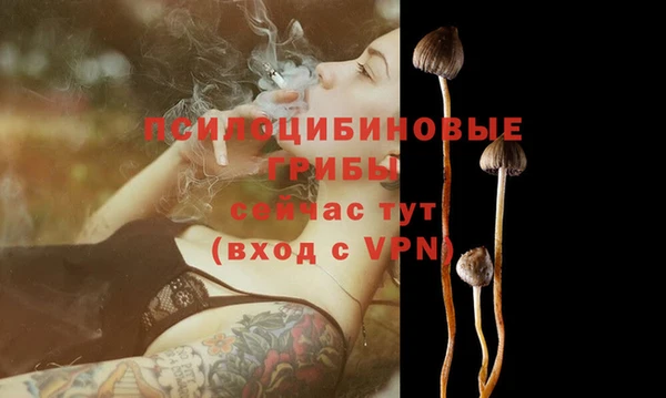 jwh Зеленодольск