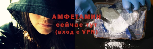 твердый Инта