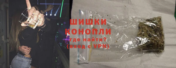 твердый Инта