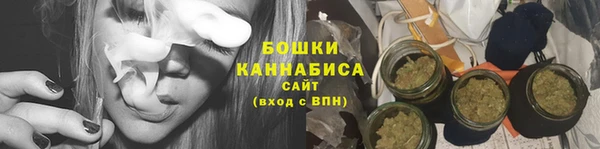 твердый Инта