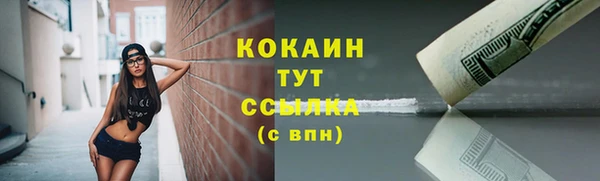 твердый Инта
