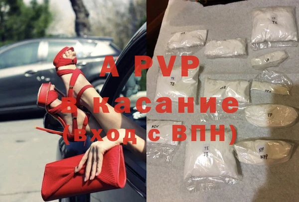 стаф Зерноград