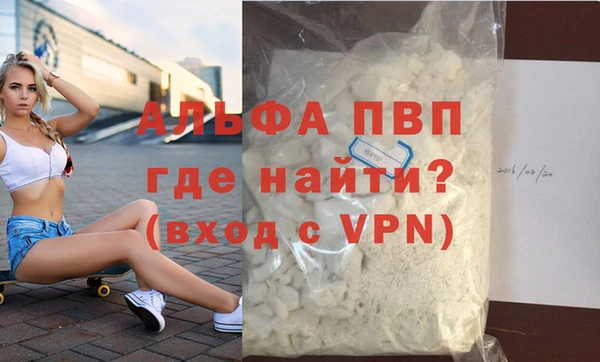 стаф Инсар