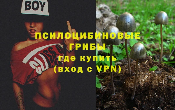стаф Инсар